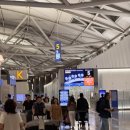 737 | 인천 칭다오 산둥항공 sc4618 리얼후기 보잉737-800 리얼후기