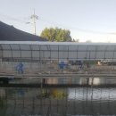 신천자연 낚시터 이미지