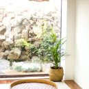 제주와서 이미지