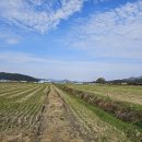 용성게이트볼장 이미지