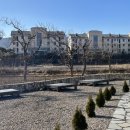 도평시장 이미지