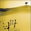 낙타 이미지