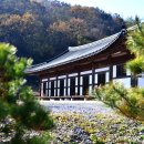 능주향교 이미지