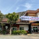 금성애견 이미지