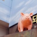 이천돼지 이미지