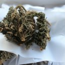 청석농장 이미지