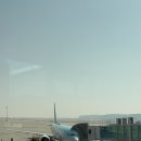 643 | 대한항공 인천->싱가포르 KE643(B777-300) 이코노미 후기,기내식, 체크인 좌석 꿀팁