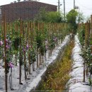 이동철농장 이미지