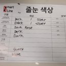 금광동 물놀이장 | 성남)e편한세상 금빛그랑메종 줄눈시공 후기<완성도가 높은 줄눈시공>