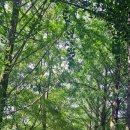 부석사관광안내소 이미지