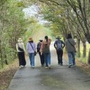 10월 12일 대전자연유산답사 후기 이미지