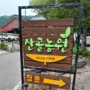 산골이야기 | [가평 맛집] 2시간 웨이팅 실화?! 산골농원 솥뚜껑닭볶음탕 솔직 후기 (feat. 치먹보의 한입여행)