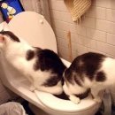 좋은사이 이미지