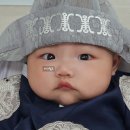 셀프 백일상 솔직후기, 백일상대여 셀프100일촬영 소문난돌상대여후기 총각쓰떡백일떡