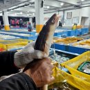 진우수산 이미지