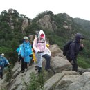 팔봉김밥 이미지