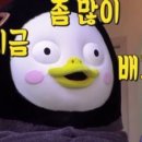 르살롱