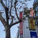 프랑스어 | 부산 프랑스어 강미영선생님과 프랑스어 수업 후기❣️왕초보도 가능!