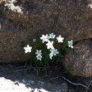 약산초등학교 이미지