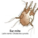 루원 센트럴 동물의료센터 이미지