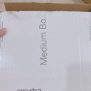 리볼브클로딩 18% 할인 구매 데이드리머 락밴드 티셔츠٩(๑❛ᴗ❛๑)۶