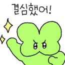 릴리안플라워 이미지