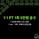 린바디핏 이미지