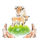 한우가축인공수정소 이미지