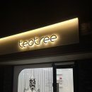 테오트리 유성점