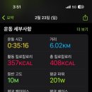 비벨라핏 이미지