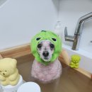 보리미용실 이미지