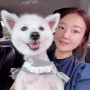 공감 이미지