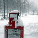 와뜨래요 이미지