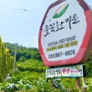 들꽃효소마을영농조합법인