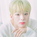 혜성정밀 MBC연예