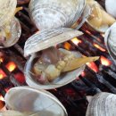 조개구이 이미지