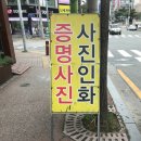 올리브트리스튜디오 이미지