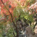 상만농장 이미지