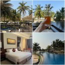 씨티프라자 | 다낭 가성비 크라운 프라자 리조트 아기랑 시티뷰 더블룸+수영장 후기