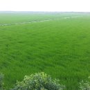 그래이프힐 이미지