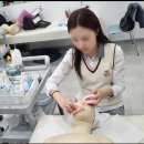 이루네 애완미용샵 | 천안미용학원 든든한 수강 후기