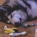 세 며느리식품 이미지