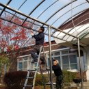 동강중학교 이미지