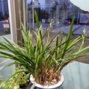 옛시골추어탕 이미지