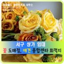 서구애견센타 이미지