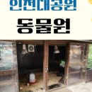 토잉드로잉