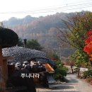 합천관광농원식당 Daum카페