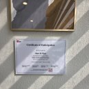 도곡 치유 동물병원 이미지