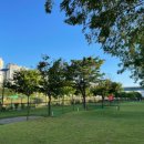 중랑천 파크골프장 이미지