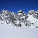 소리구상 이미지